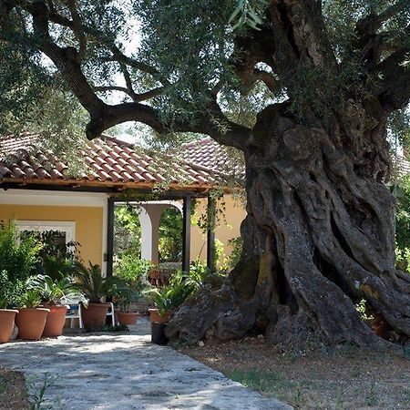 Villa Christina مدينة زاكينثوس المظهر الخارجي الصورة