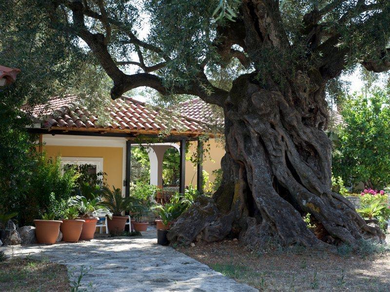 Villa Christina مدينة زاكينثوس المظهر الخارجي الصورة
